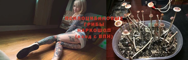 прущая мука Богданович